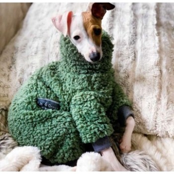 Italian greyhound knitting outlet pattern